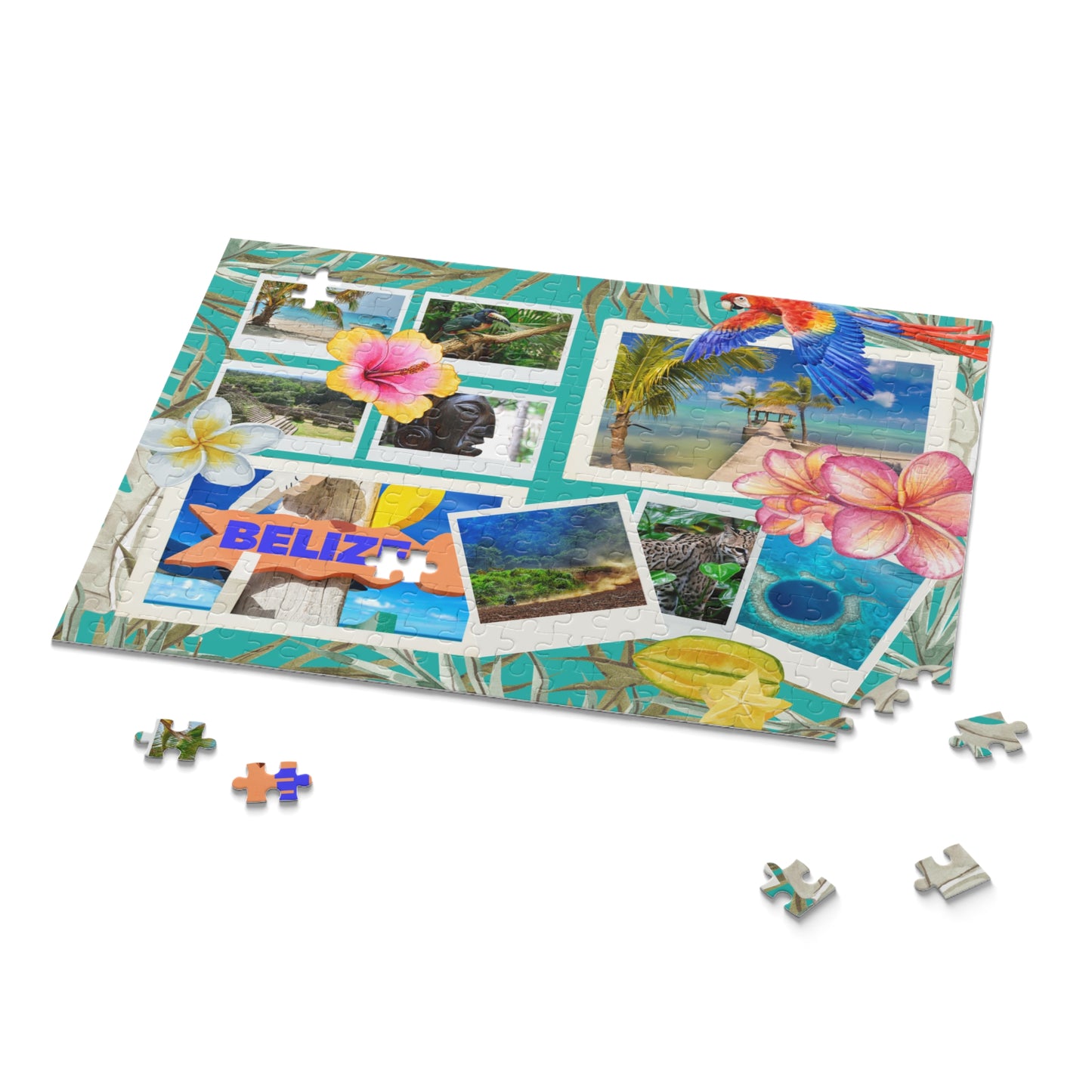 Passport Puzzle- Belize 🇧🇿