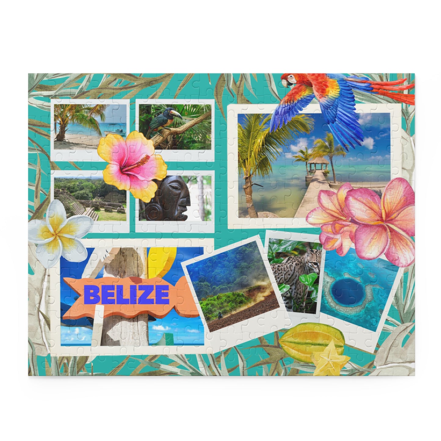 Passport Puzzle- Belize 🇧🇿