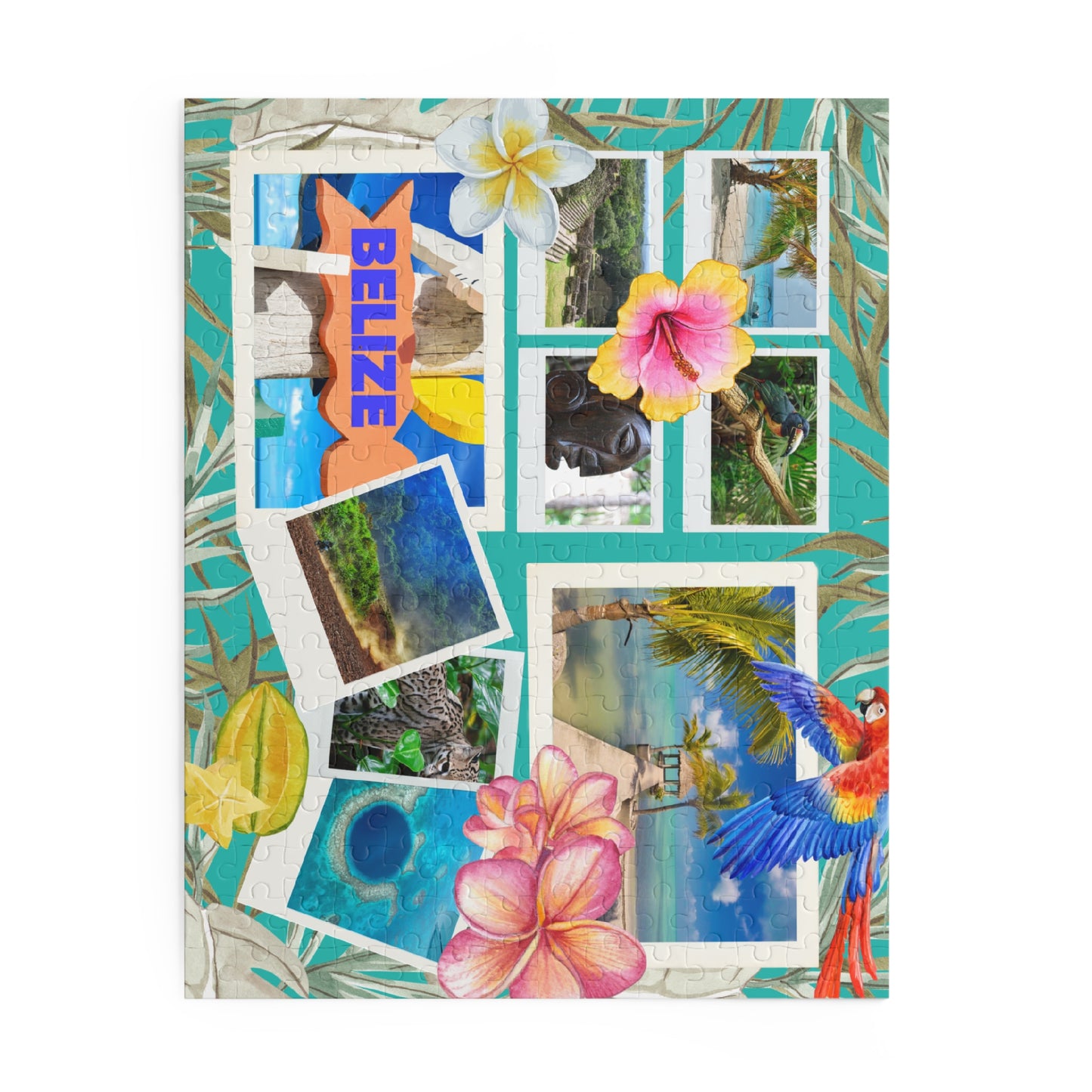 Passport Puzzle- Belize 🇧🇿